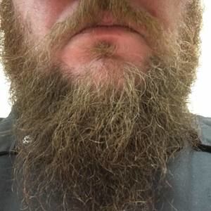 Meet your Posher, Phil